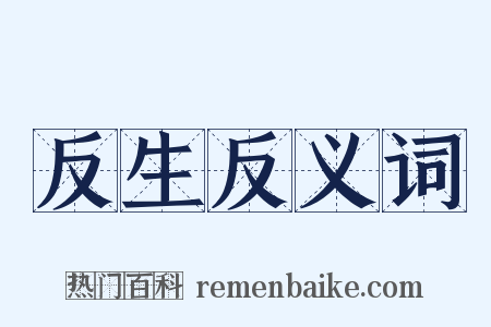 反生反义词是什么意思的图片